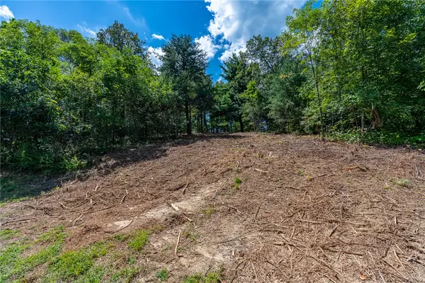 229 May Apple Way, Landrum, SC 29356