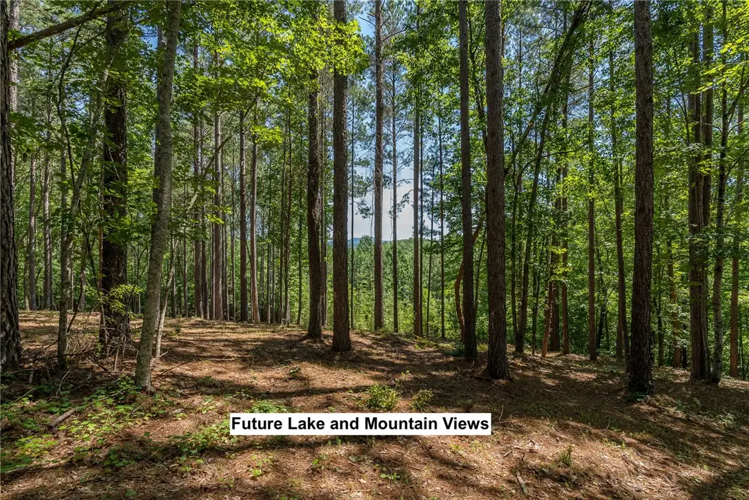 Lot 36 River Birch Way, Salem, SC 29676 - #1