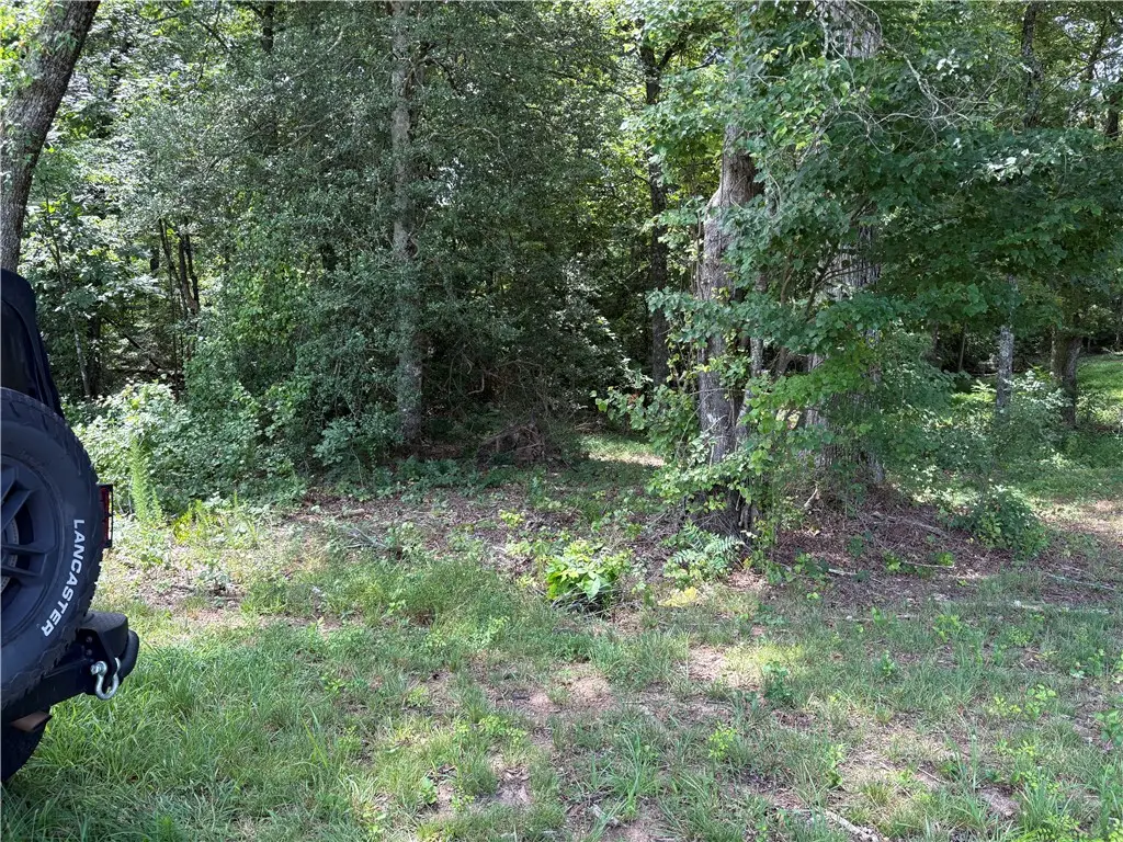 0 Lenhardt Road, Easley, SC 29640 - #1