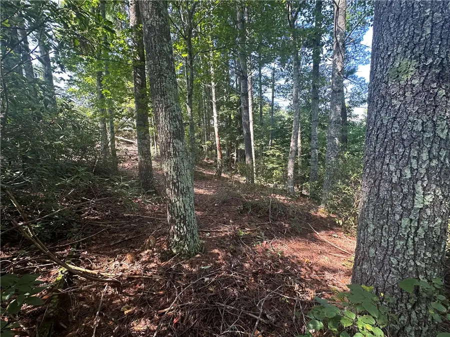 219 Long Cove Court, Sunset, SC 29685 - #3