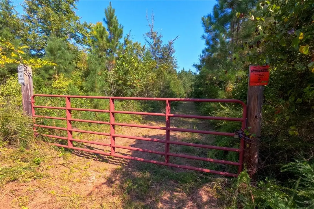 79.87 AC Sam Turner Road, Iva, SC 29655 - #1