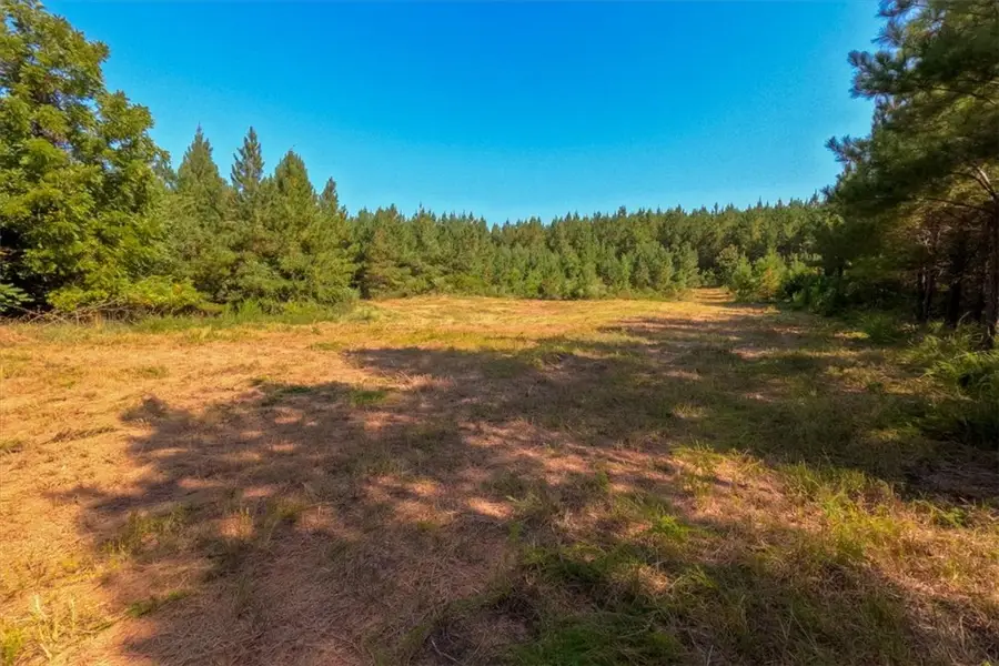 79.87 AC Sam Turner Road, Iva, SC 29655 - #3