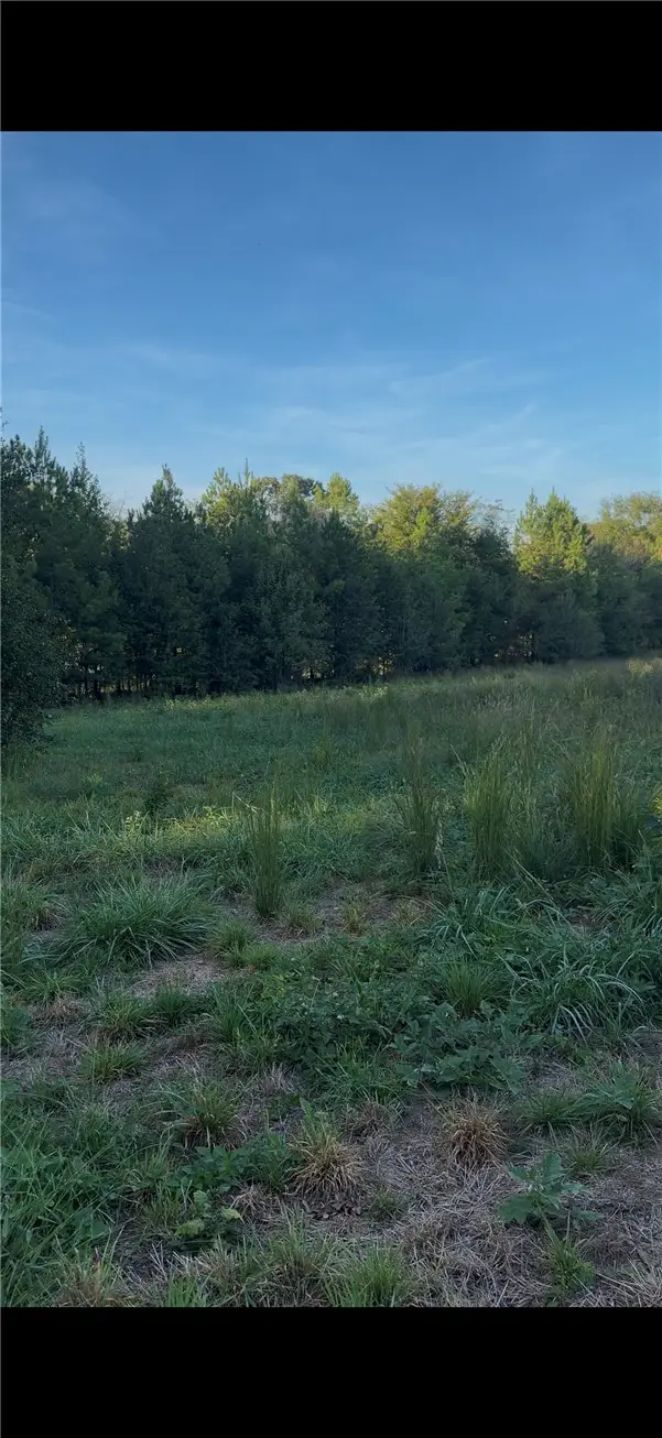 0 Richard Road, Central, SC 29630 - #2