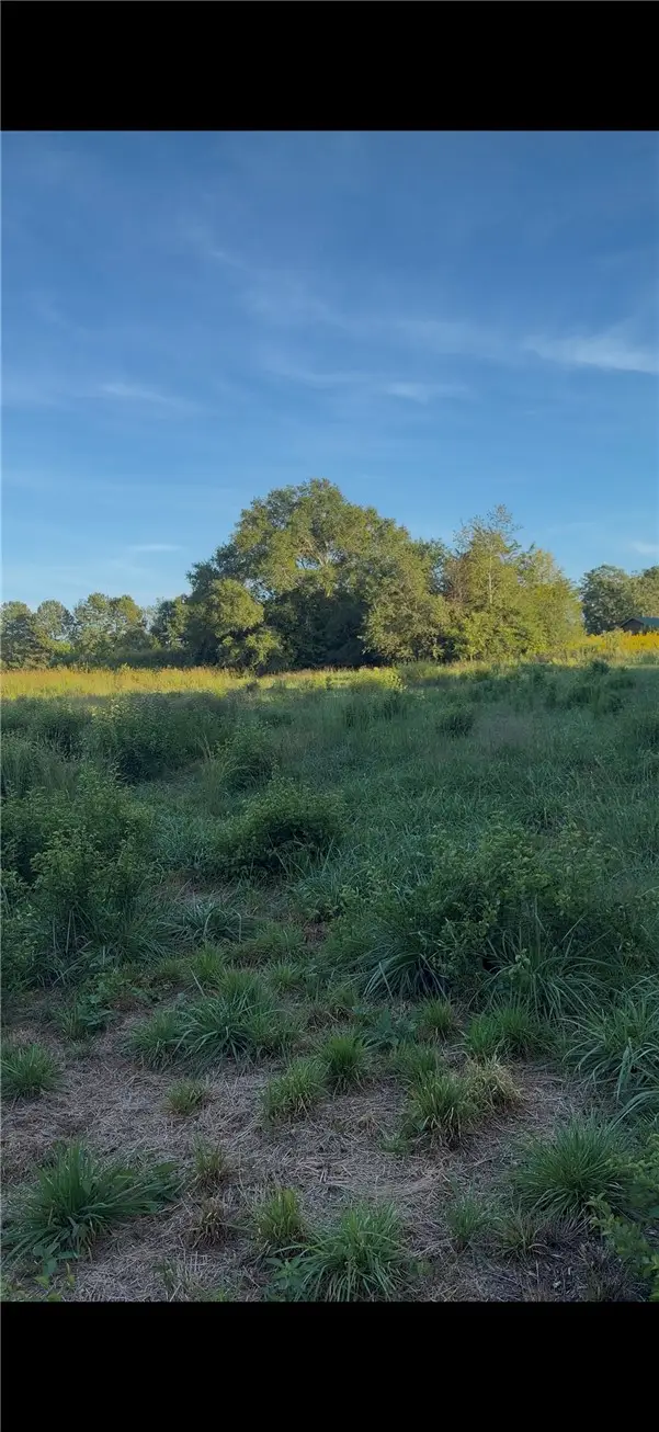 0 Richard Road, Central, SC 29630 - #3