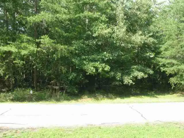 Lots 1054 and 1055 North Hogan Drive, Westminster, SC 29693 - #1