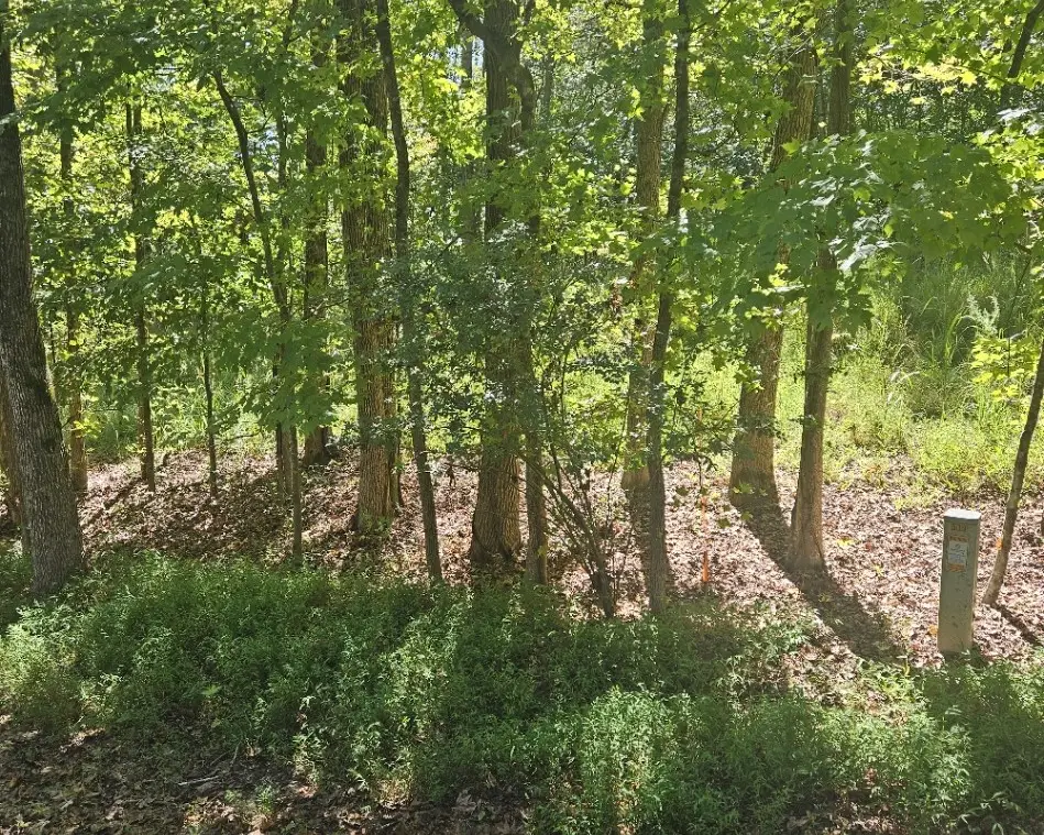 Lot 518 Point Road, Westminster, SC 29693 - #1