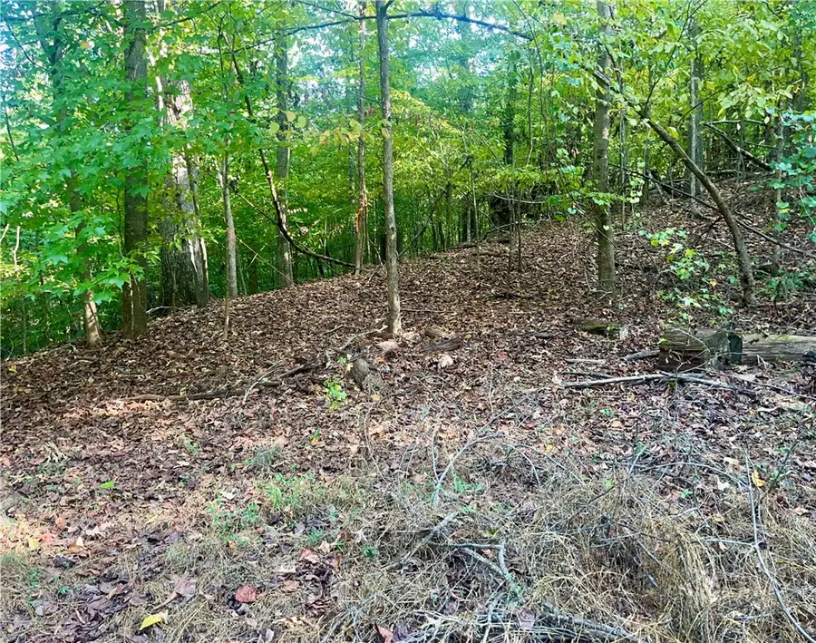 Lot 16 Cranberry Lane #1642, Westminster, SC 29693 - #2