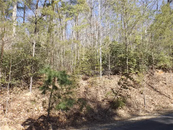 130 Fairway Woods, Pickens, SC 29671