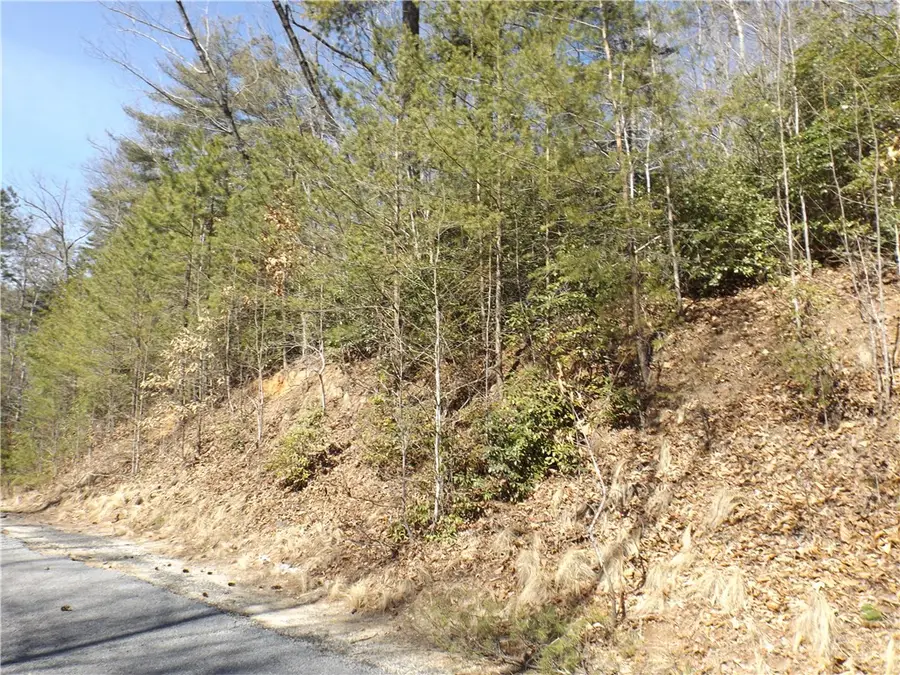 130 Fairway Woods, Pickens, SC 29671 - #2