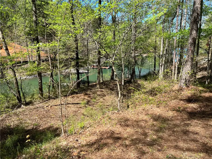 217 Featherstone Drive, Sunset, SC 29685 - #3