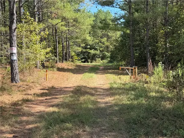90 Lewis Lane, Edgefield, SC 29824