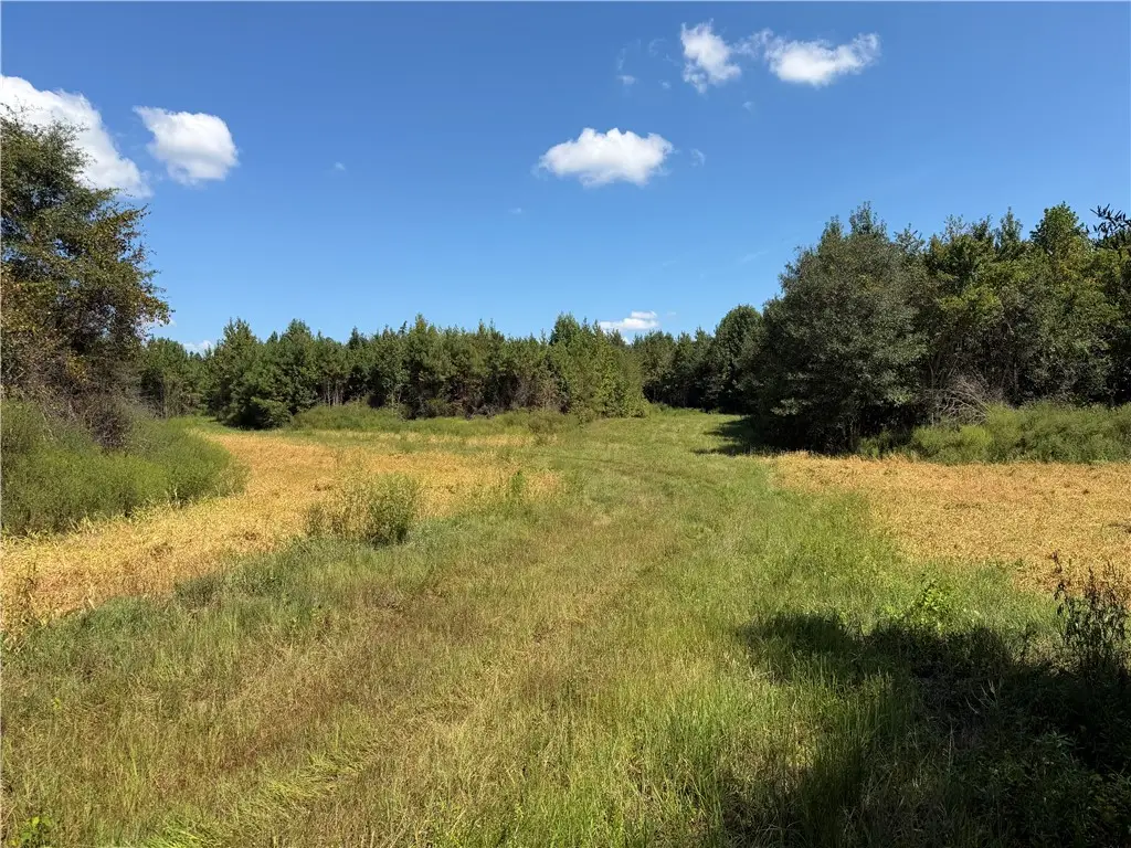 1 Royster Road, Townville, SC 29689 - #1