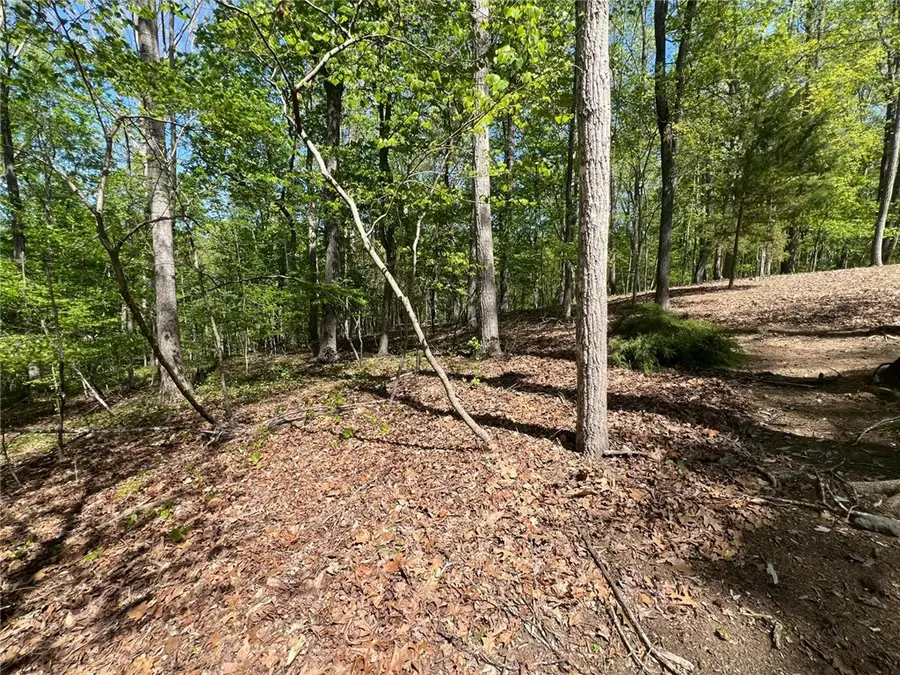 1327 S Arrowhead Drive, Westminster, SC 29693 - #3