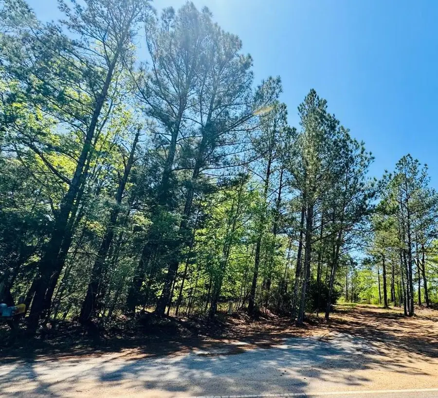 13089 Indian Mound Road, Ware Shoals, SC 29692 - #2