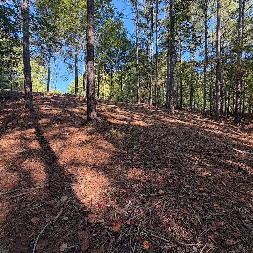 Lot 40 Jasmine Point, Salem, SC 29676 - #3
