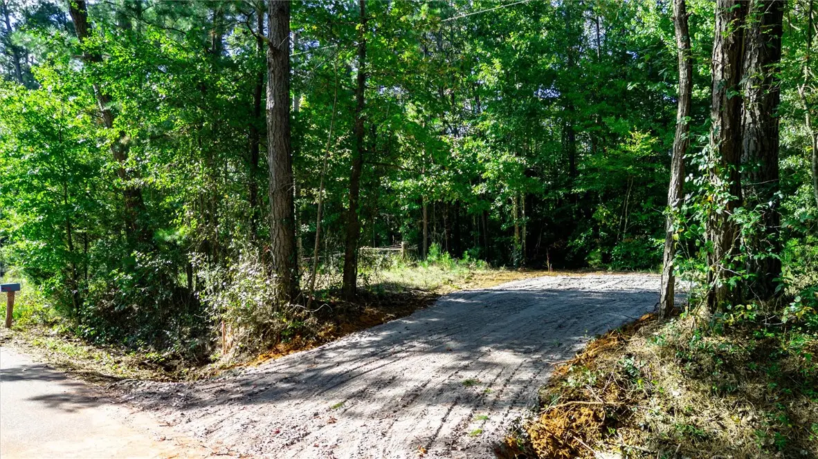 Tract A Lickville Road, Belton, SC 29627 - #1