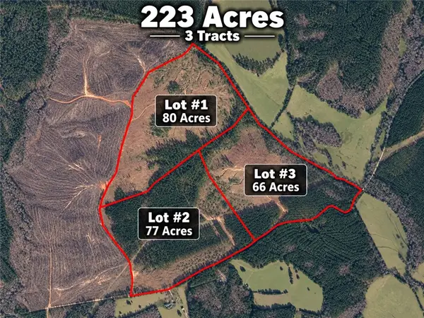 Lot 1 Charlie Johnson Road, Calhoun Falls, SC 29628