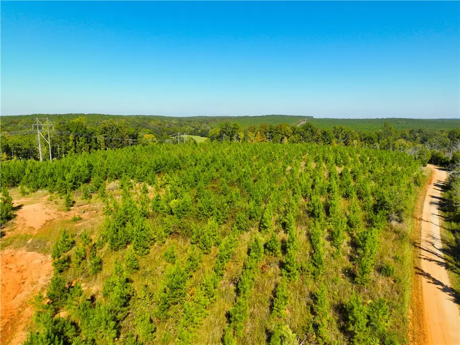 Lot 1 Charlie Johnson Road, Calhoun Falls, SC 29628 - #3