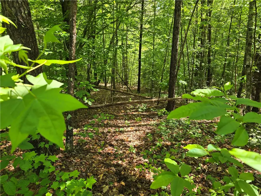 10 Acres Miller Road, Westminster, SC 29693 - #2
