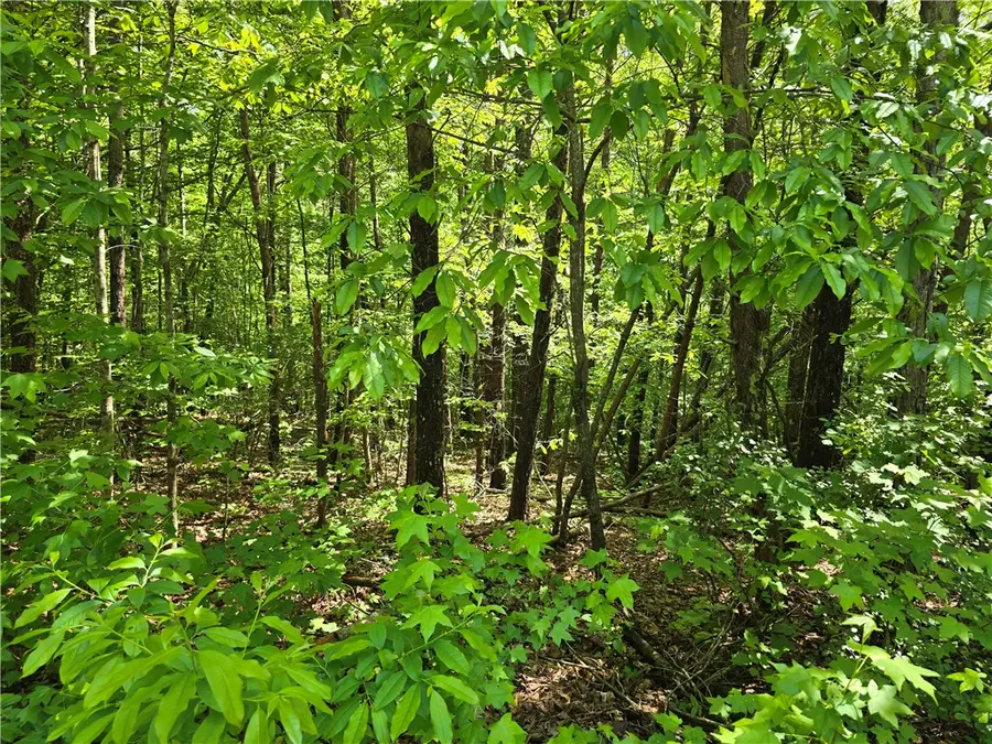 10 Acres Miller Road, Westminster, SC 29693 - #3