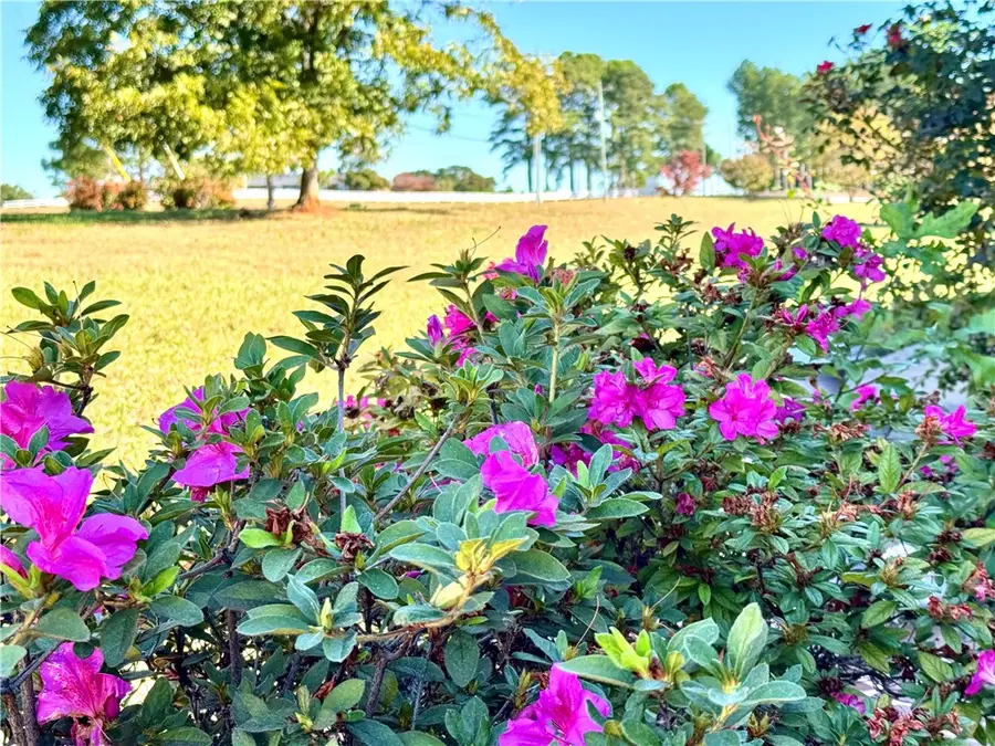 1137 Old Webb Road, Anderson, SC 29626 - #3