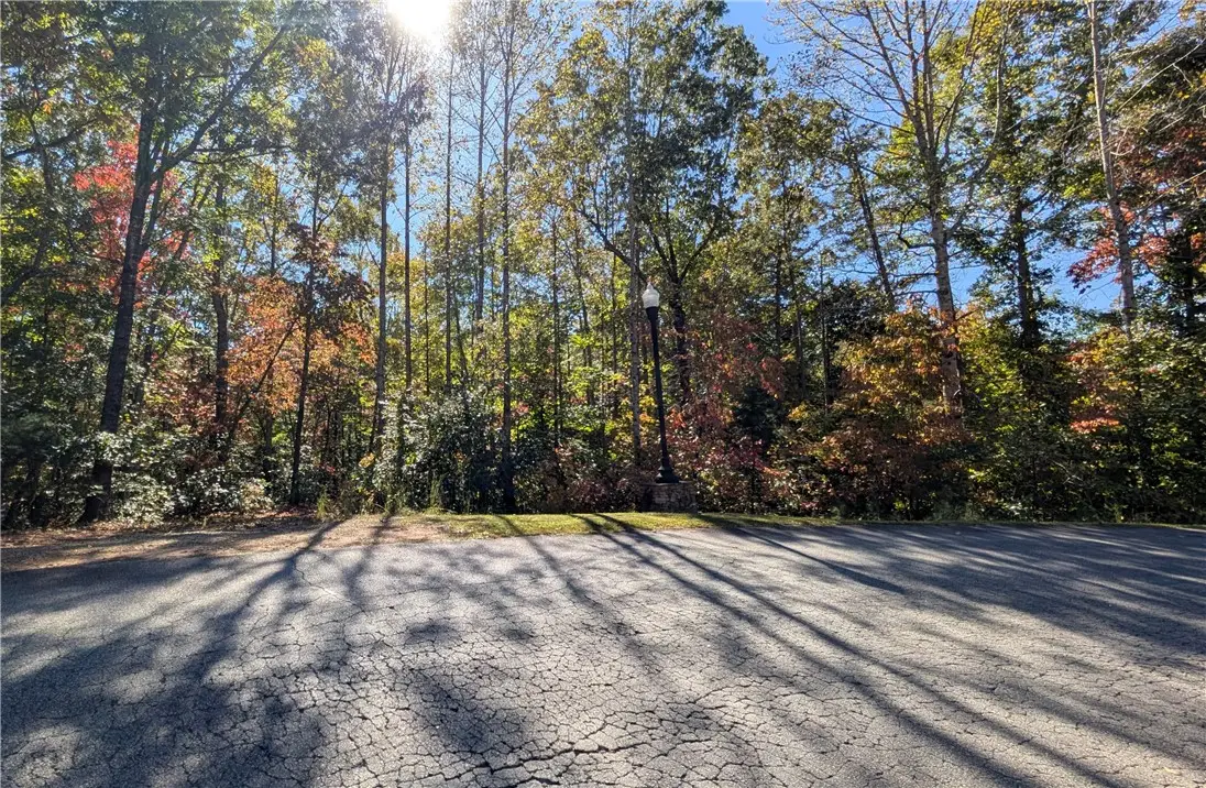 312 Scharlin Drive, Pickens, SC 29671 - #1