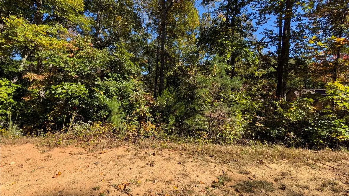 144 Julie Way, Pickens, SC 29671 - #1