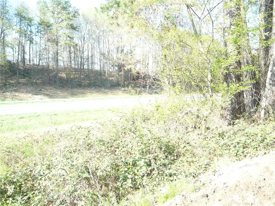 Lt 22 Denver Cove Road, Anderson, SC 29625 - #2