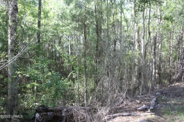 Tbd Halifax Circle, St. Helena Island, SC 29920