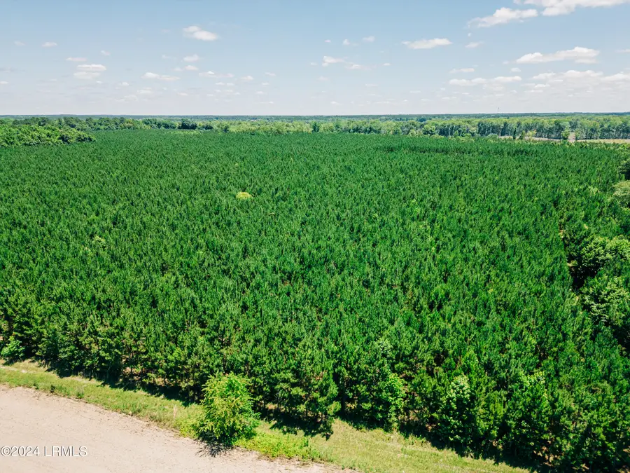 0000 Varnadoe Road, Islandton, SC 29929 - #2