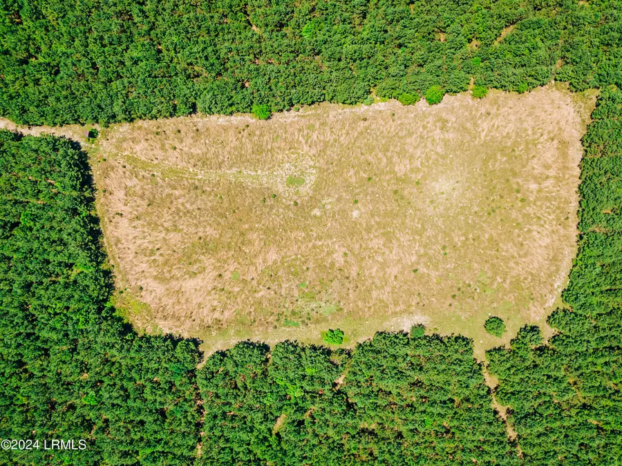 0000 Varnadoe Road, Islandton, SC 29929 - #3