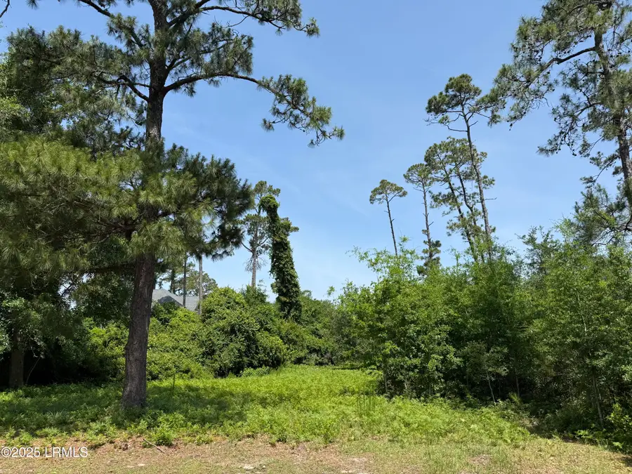 5 Caladium Court, Hilton Head Island, SC 29926 - Image #3