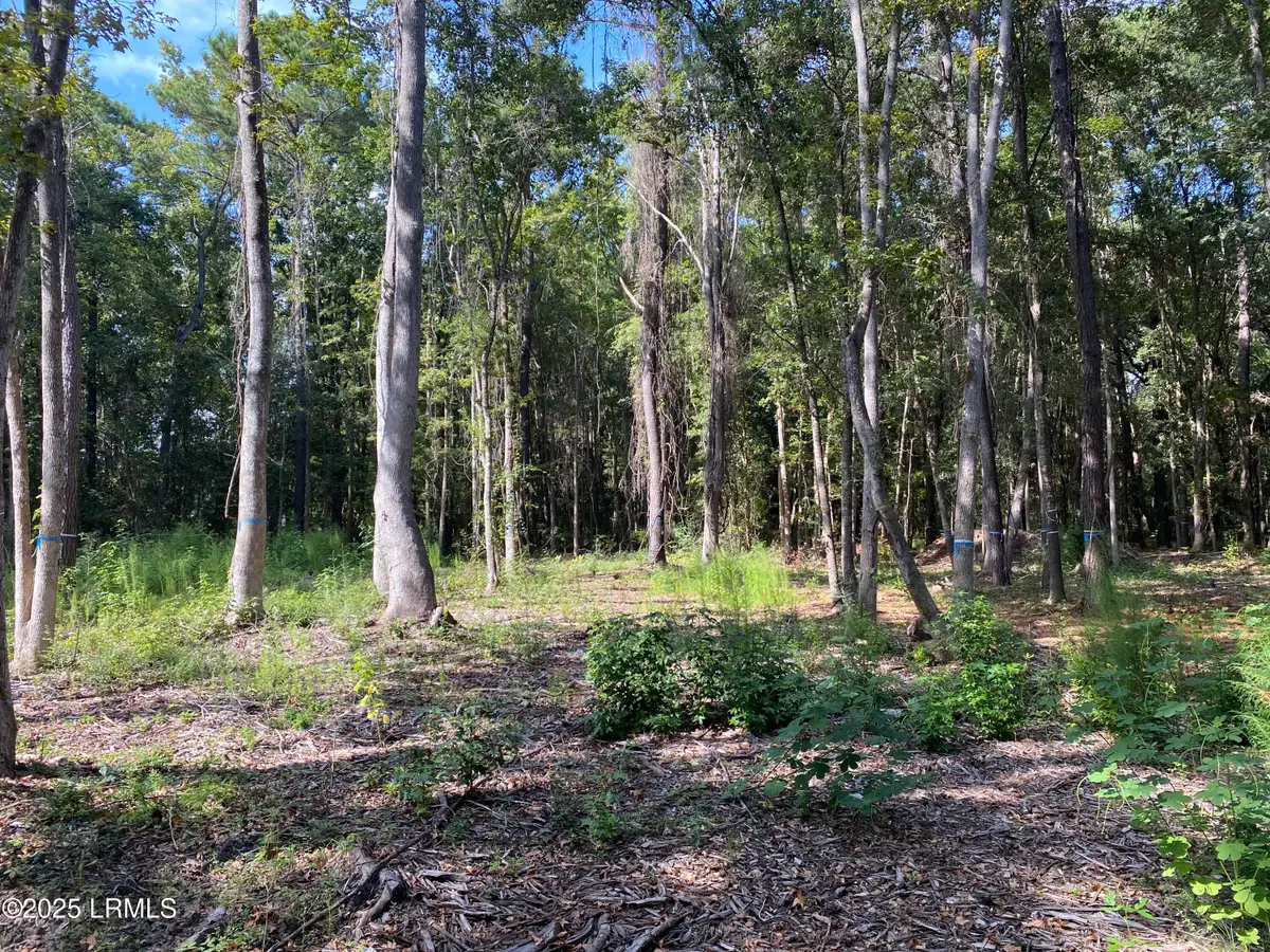 51 Mary Smalls Road, Saint Helena Island, SC 29920 - Image #1