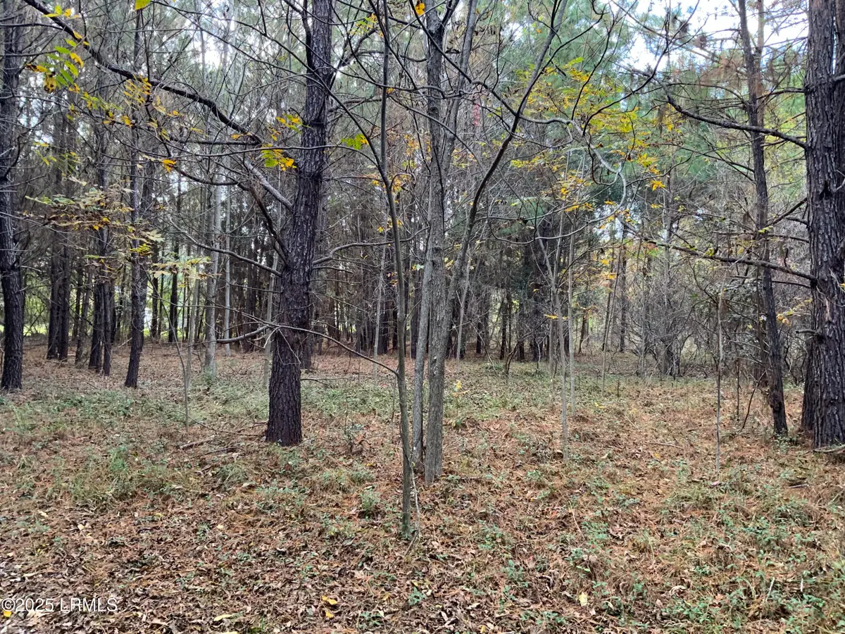 37 Pearl Harbor Drive, Seabrook, SC 29940 - Image #1