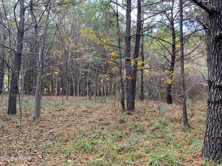 37 Pearl Harbor Drive, Seabrook, SC 29940 - Image #3