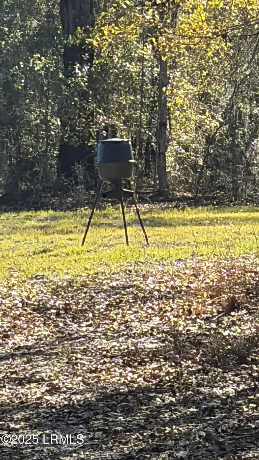 Tbd Orangeburg Road, Estill, SC 29939 - Image #2