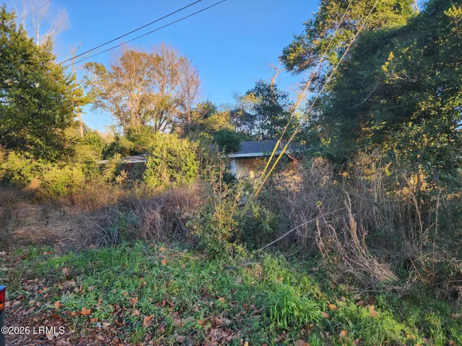 58 Grayson Street E, Brunson, SC 29911 - #2