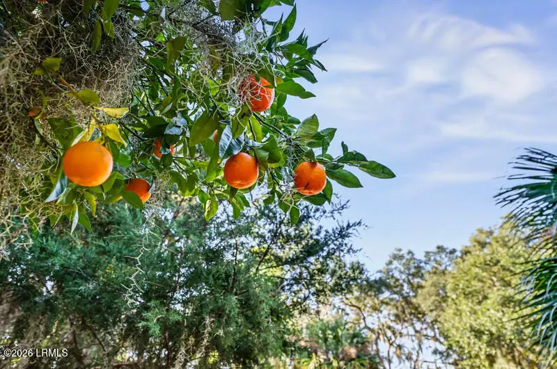 2001 Berkeley Circle, Port Royal, SC 29935 - #2