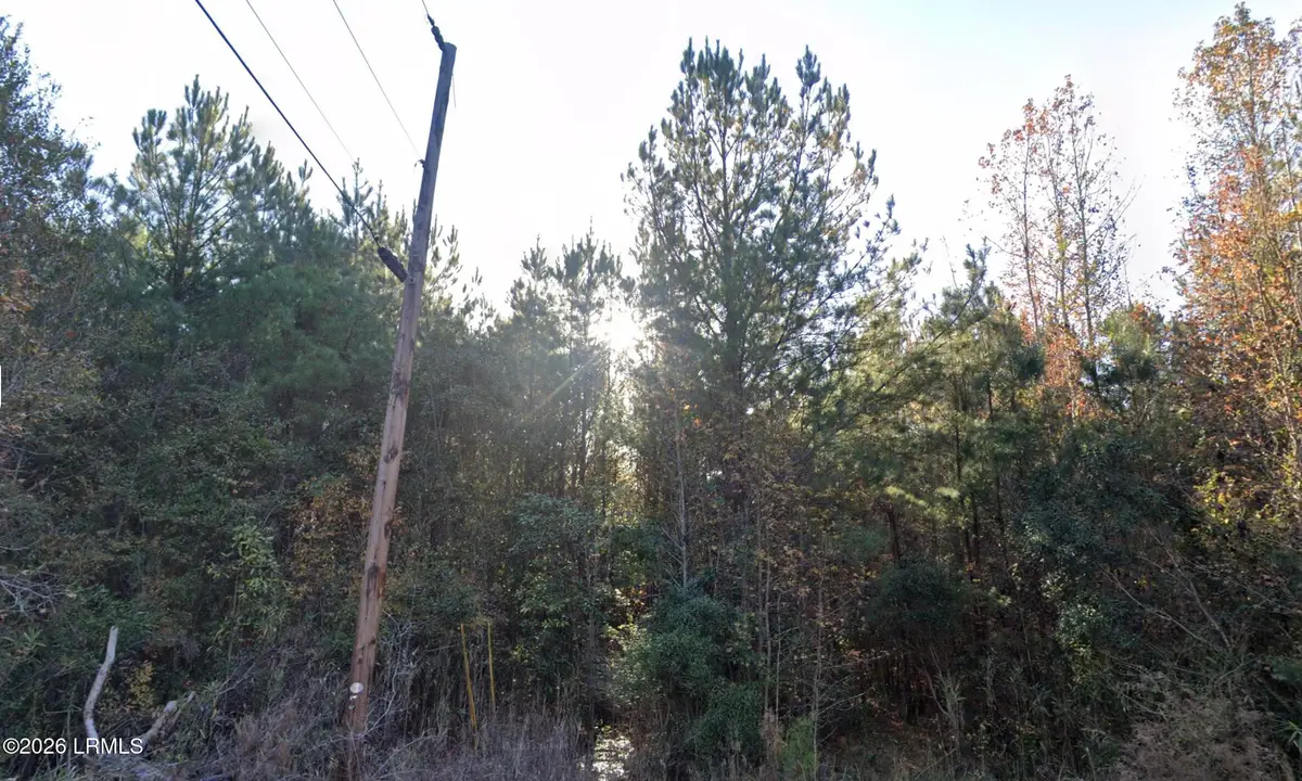 00 Oliver Street, Hampton, SC 29924 - #1