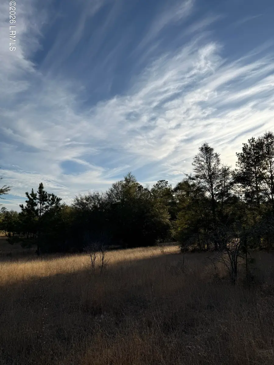 Tbd Stokes Bluff Road, Garnett, SC 29922 - #2