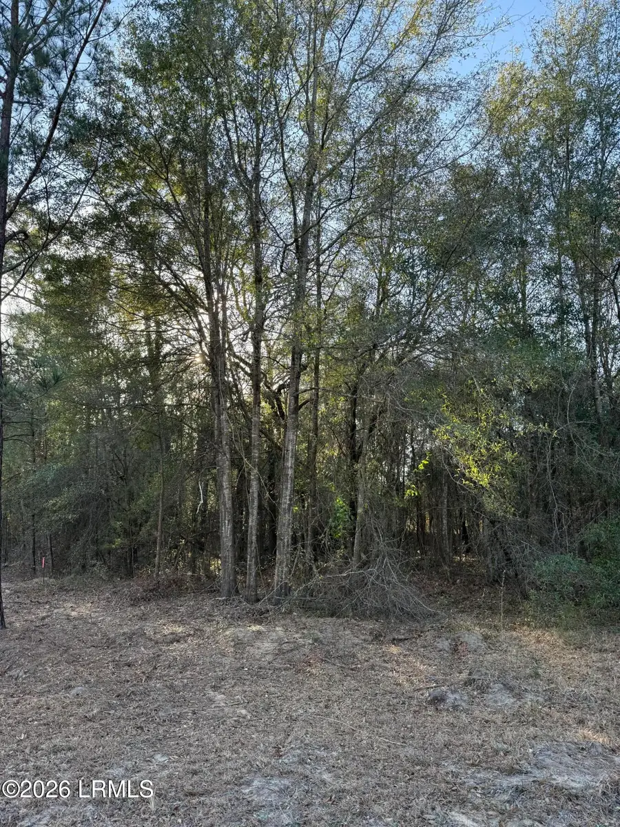 Tbd Stokes Bluff Road, Garnett, SC 29922 - #3