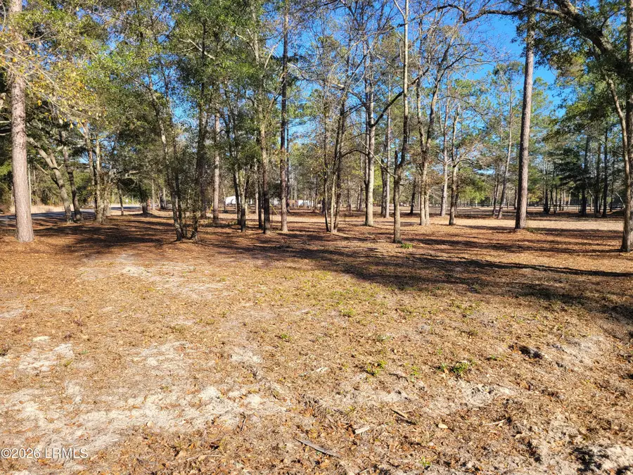 Tbd Beaver Dam Road, Ridgeland, SC 29936 - #3
