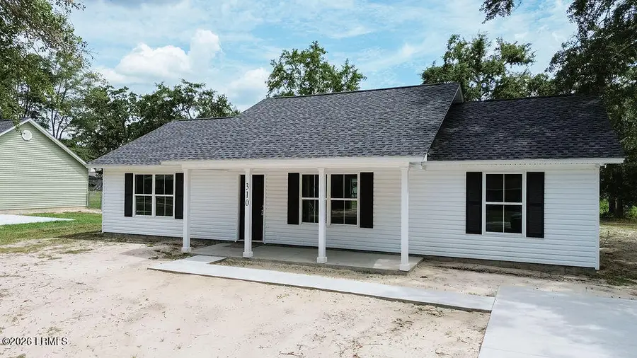 310 Kathy Avenue, Hampton, SC 29924 - #2