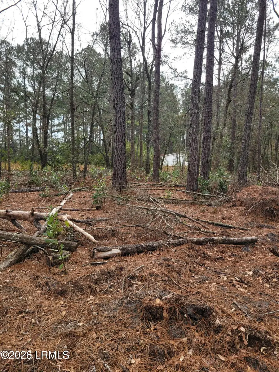Tbd Langfordville Road, Ridgeland, SC 29936 - #2