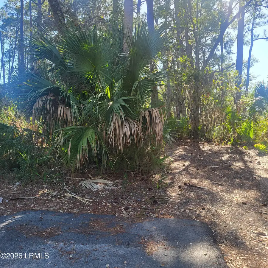 26 Lakeview Lane, Saint Helena Island, SC 29920 - #3