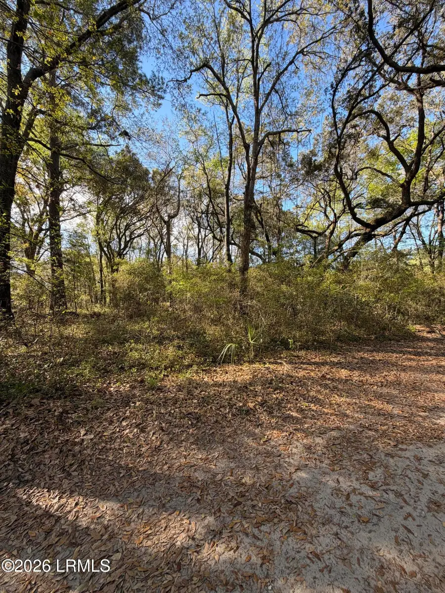 32 Jo Capers Road, Saint Helena Island, SC 29920 - #3
