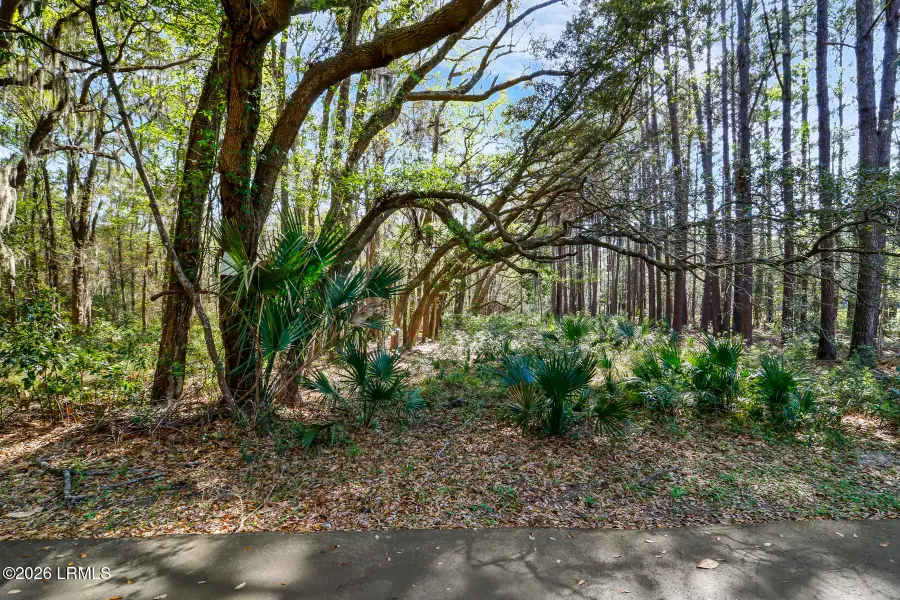 1 Canters Court, Bluffton, SC 29910 - #3