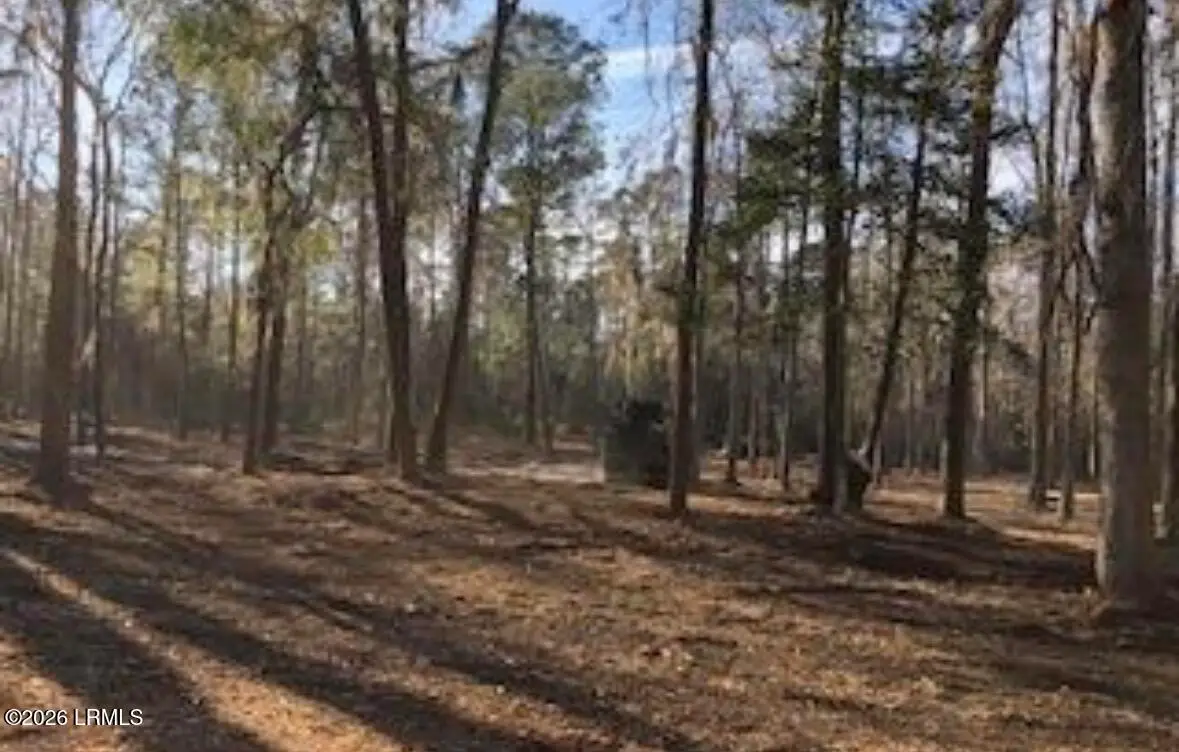 52 Arbor Victory Road, Beaufort, SC 29907 - #1