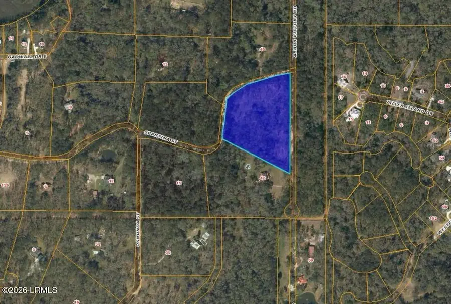 52 Arbor Victory Road, Beaufort, SC 29907 - #2