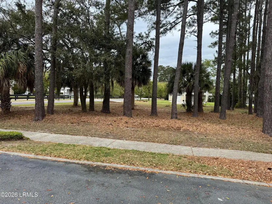24 Welsh Pony Circle, Hilton Head Island, SC 29926 - #3